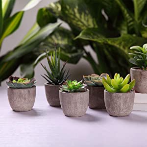 Artificial Succulent Plants Series Plastic Decorative Grass
